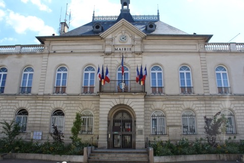 Élagueur Bourg-la-Reine