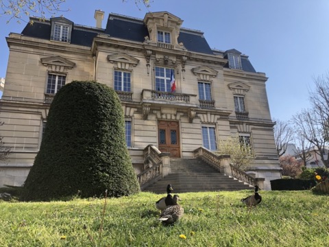 Élagueur Vanves